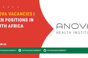 Anova Vacancies