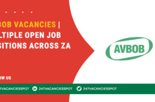 AVBOB Vacancies