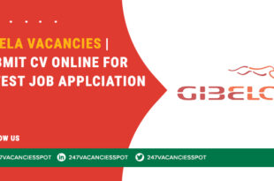 Gibela Vacancies