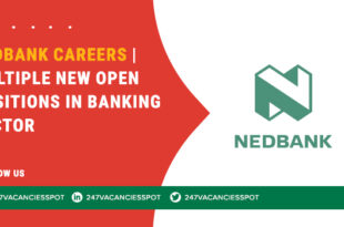 Nedbank Careers