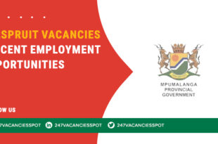 Nelspruit Vacancies