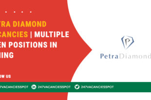 Petra Diamond Vacancies