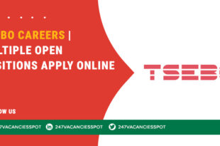 Tsebo Careers