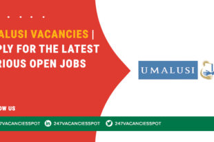 UMALUSI Vacancies